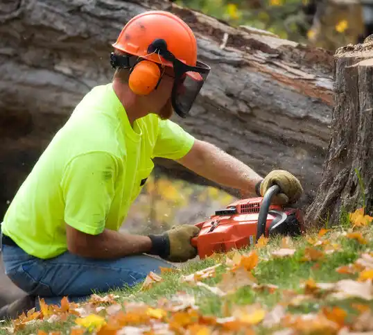 tree services Newburg